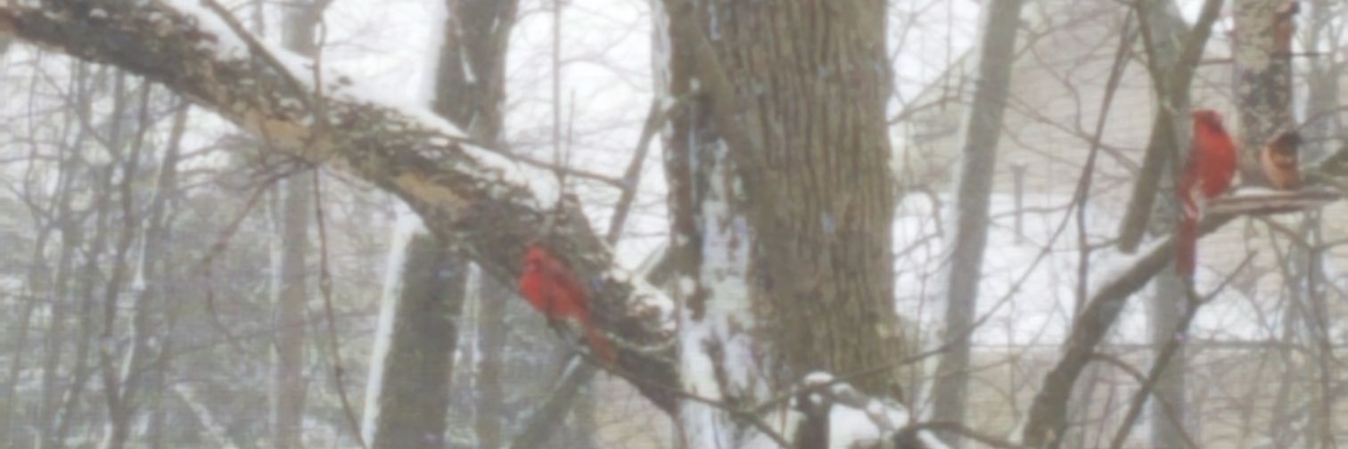 miketbud's profile banner image