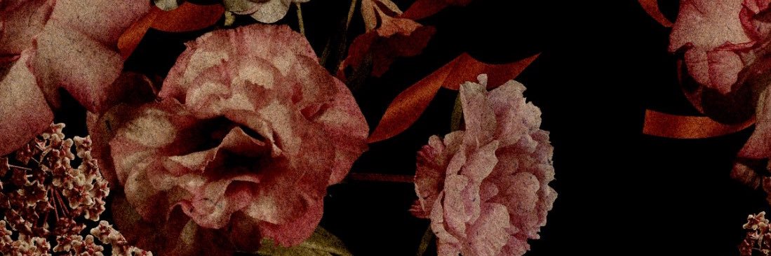 HaydenMerryn's profile banner image