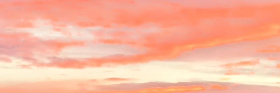 inesvispo's profile banner image