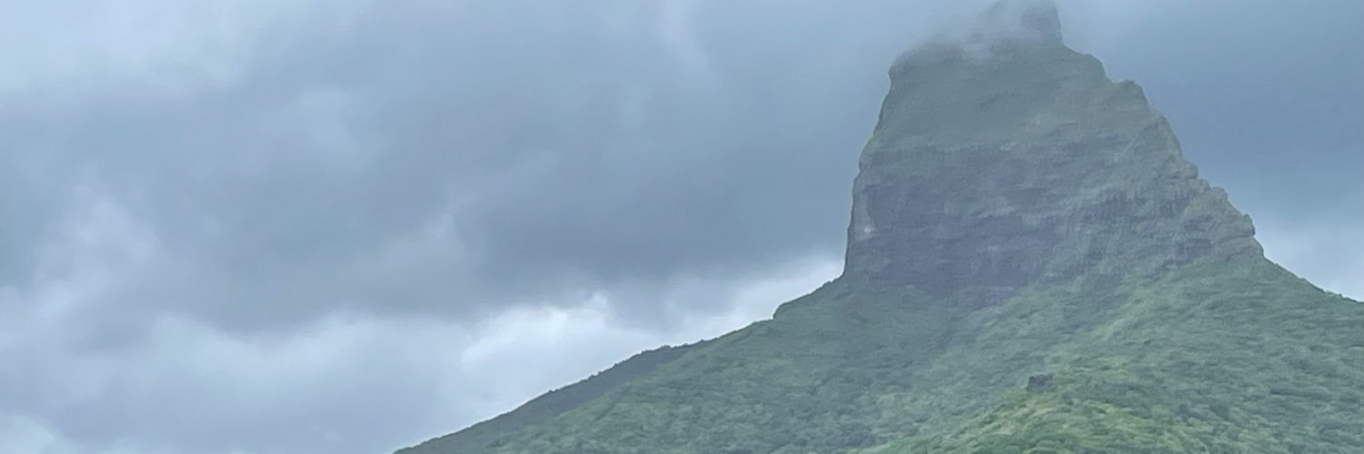 viiisha's profile banner image