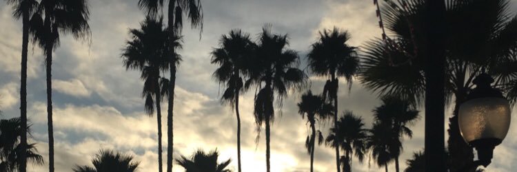 Figgalicious14's profile banner image
