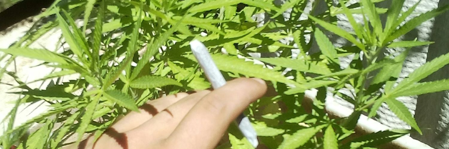 jtuantechera's profile banner image