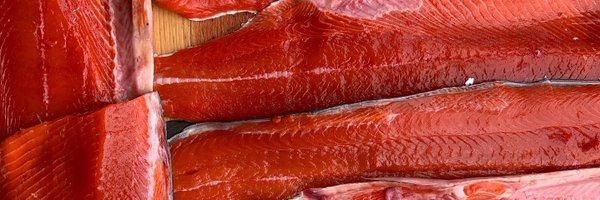 taydumby Profile Banner