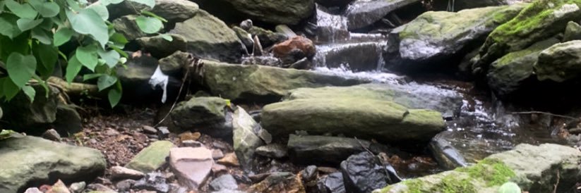 _MCMLXXXIX_'s profile banner image