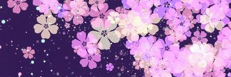 Scraphote's profile banner image