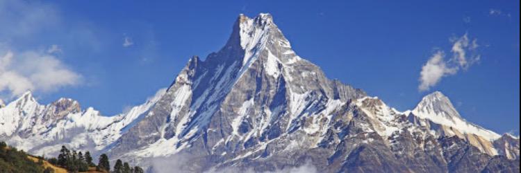 Phaneesh Gururaj banner
