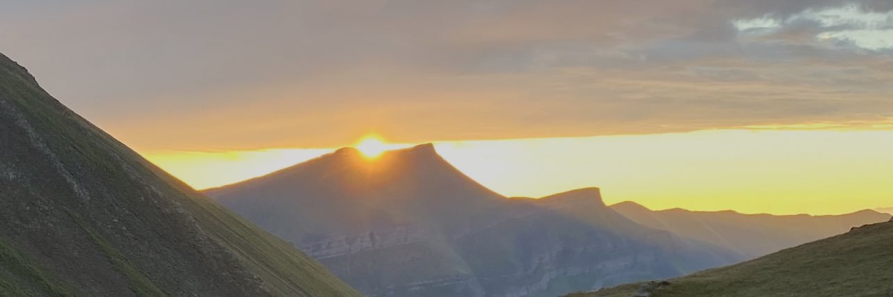 Rizvan Magomedov banner