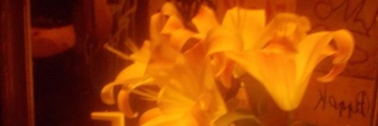 hsunflo's profile banner image