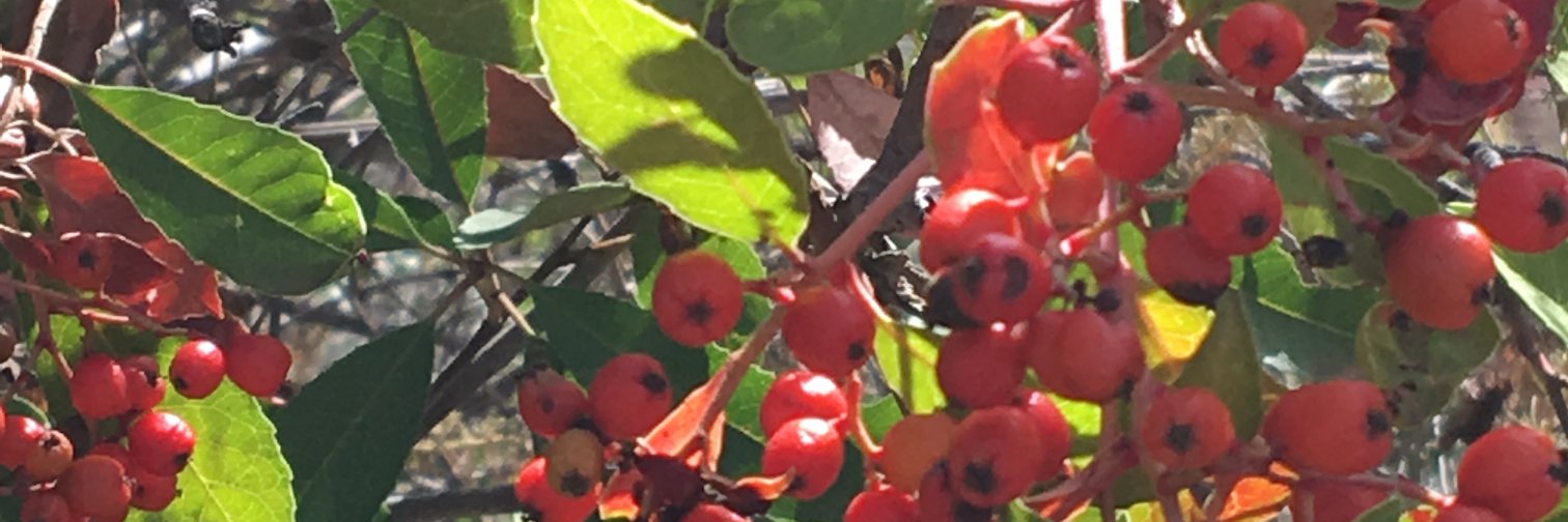 LeslieJayWriter's profile banner image