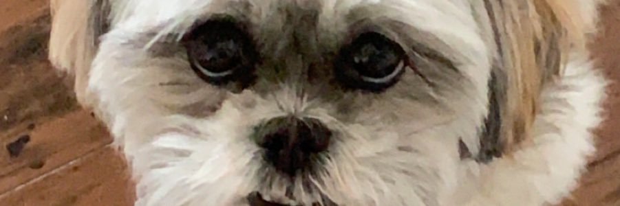 JonathanJG_'s profile banner image