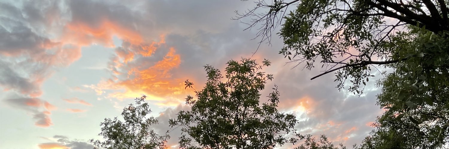 rousseau_gaby's profile banner image