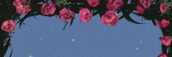 cevi🌸 banner