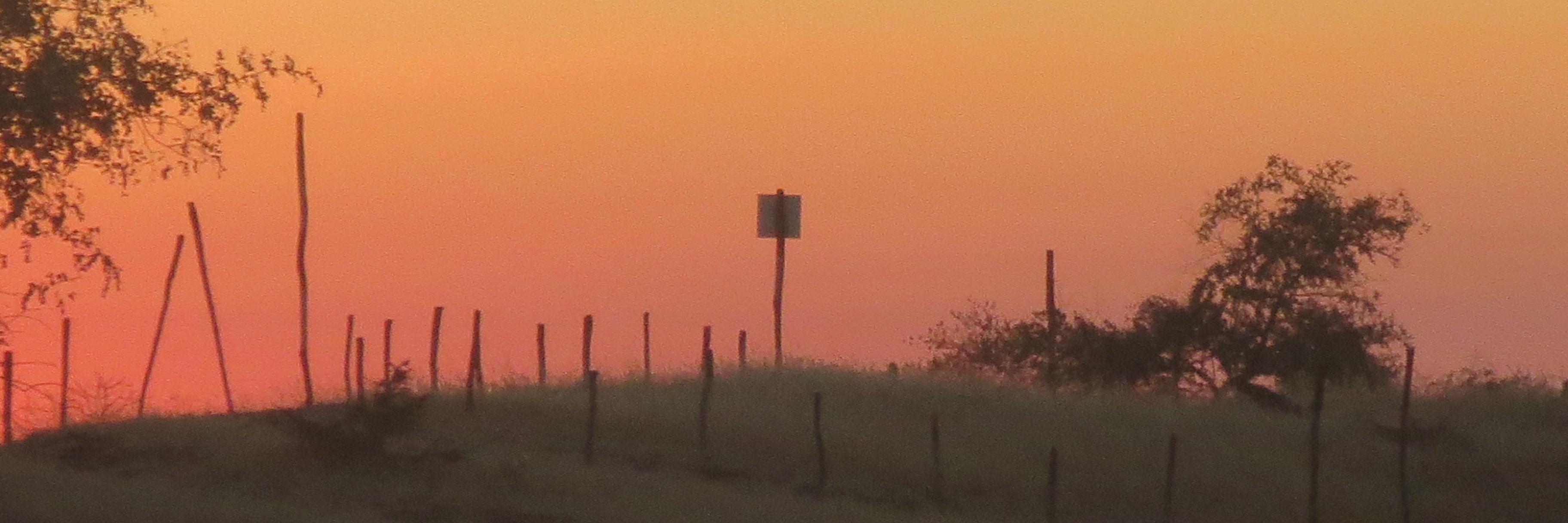 Dennis F. Hadrick banner