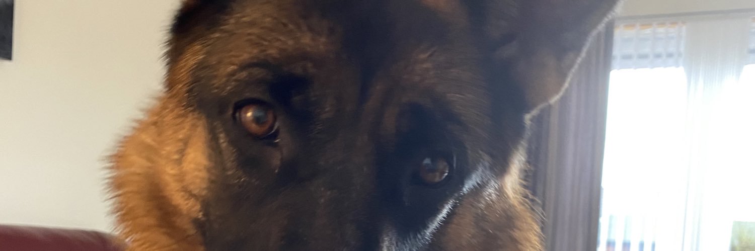 Anne  Dee banner