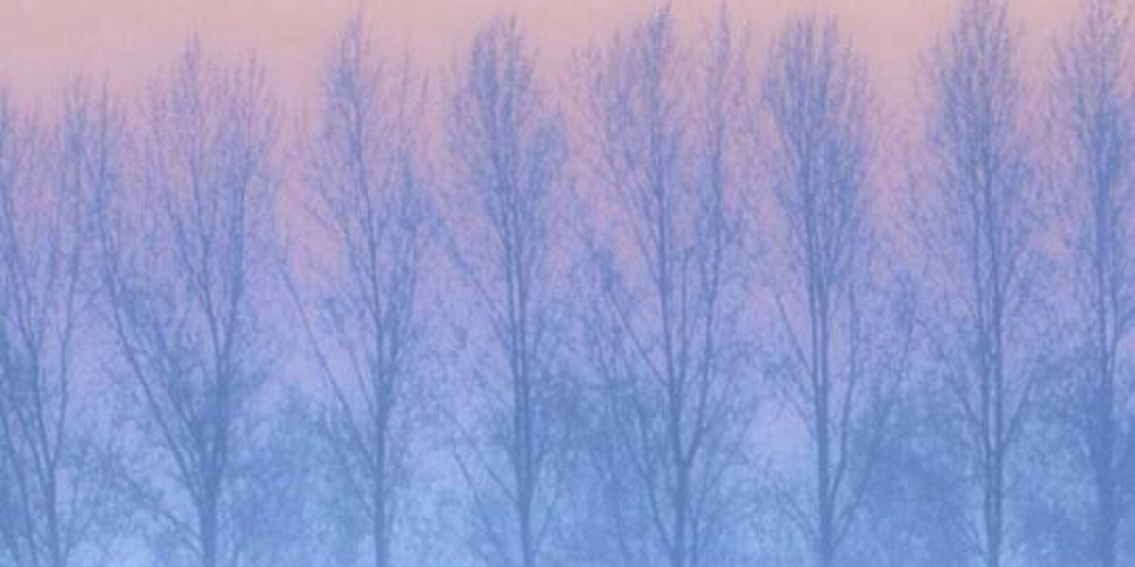 Houston.vari.🐲 banner