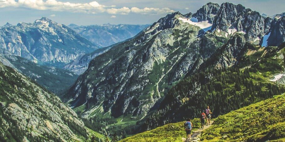 WellnessUniv's profile banner image