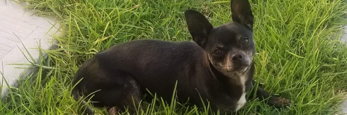 xitite_bieber's profile banner image