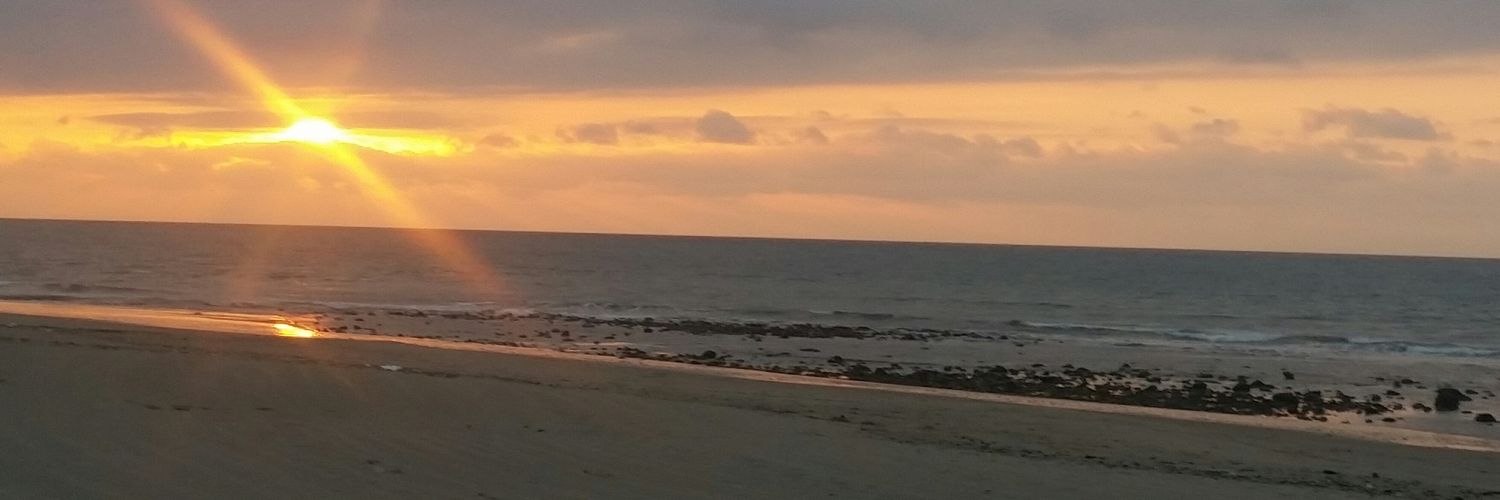 anjaneth21's profile banner image