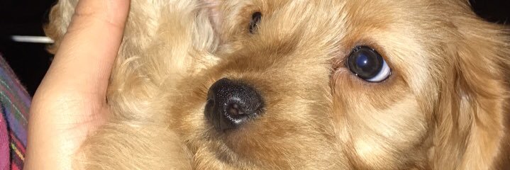 rhearbls_'s profile banner image