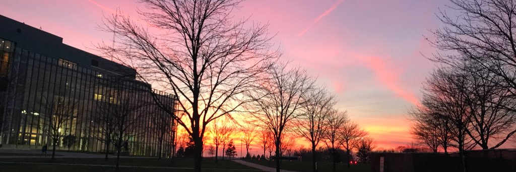 ari_walters's profile banner image