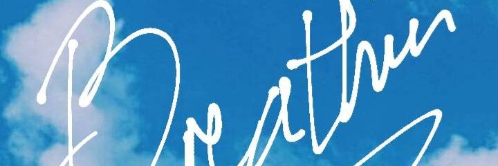 whereweretheavocado banner