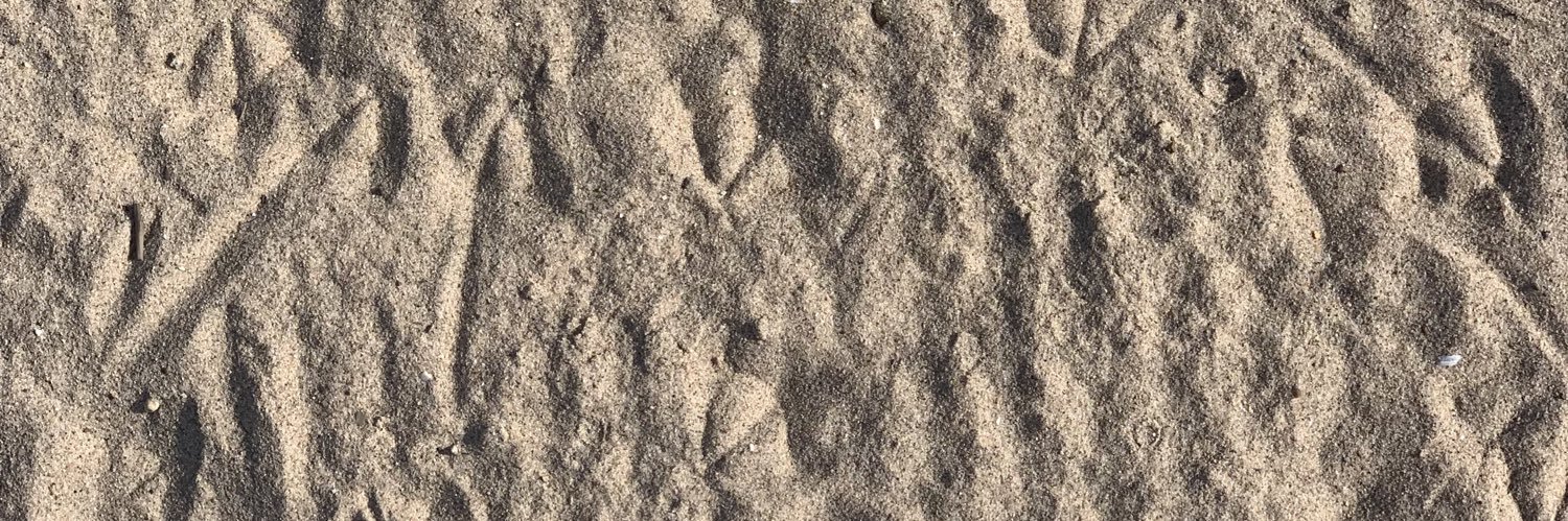 iamtethered's profile banner image