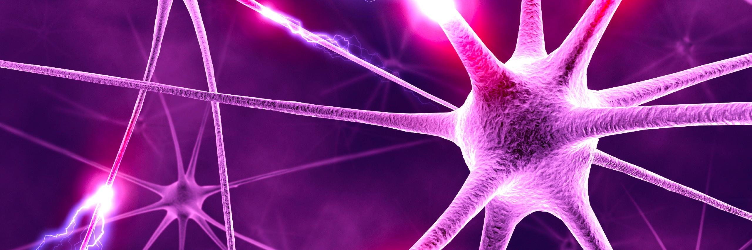 Dr Tamsyn VanRheenen banner