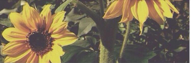 __oddsoul's profile banner image