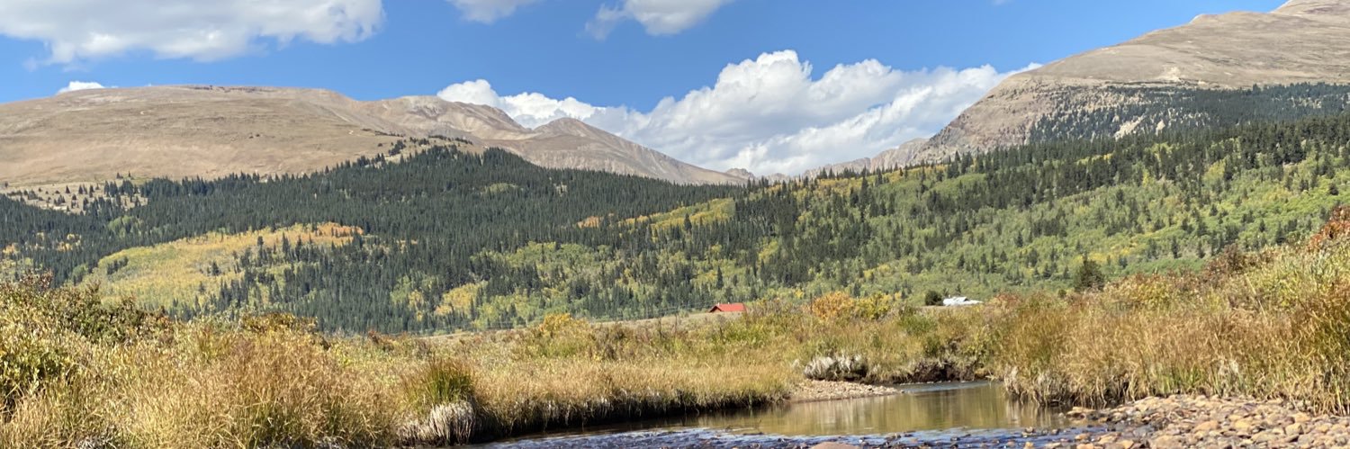 Mark Ronchetti banner