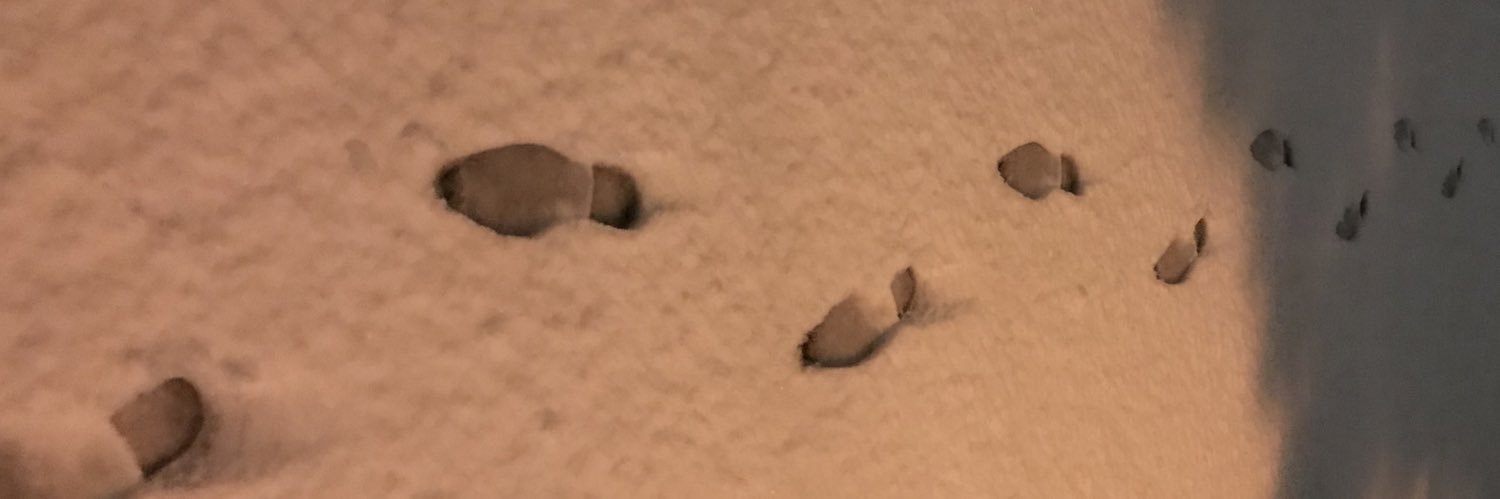 not_assigned's profile banner image