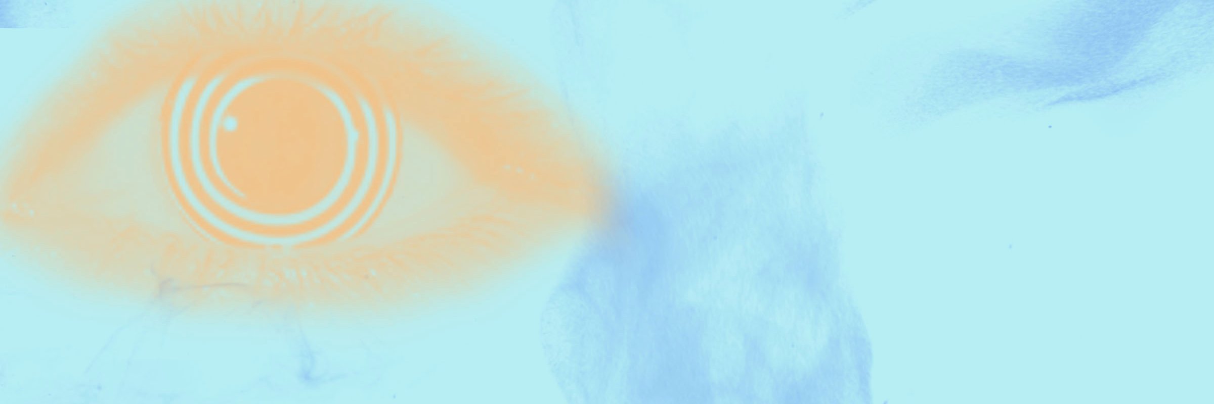 Orpheus banner