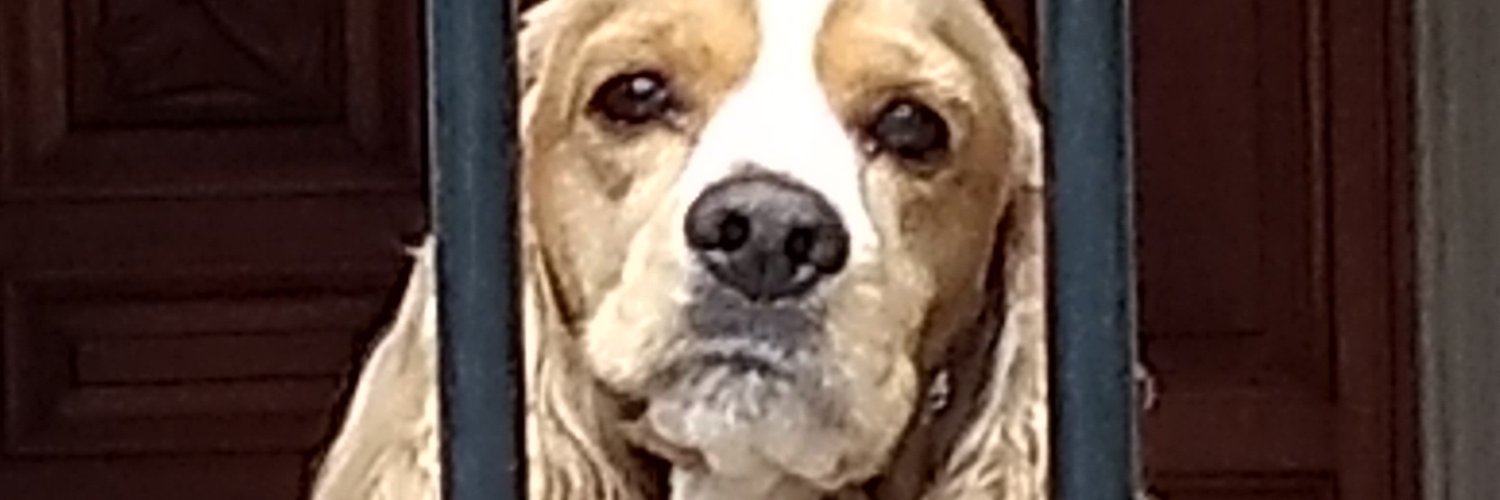 Andres_Grande's profile banner image