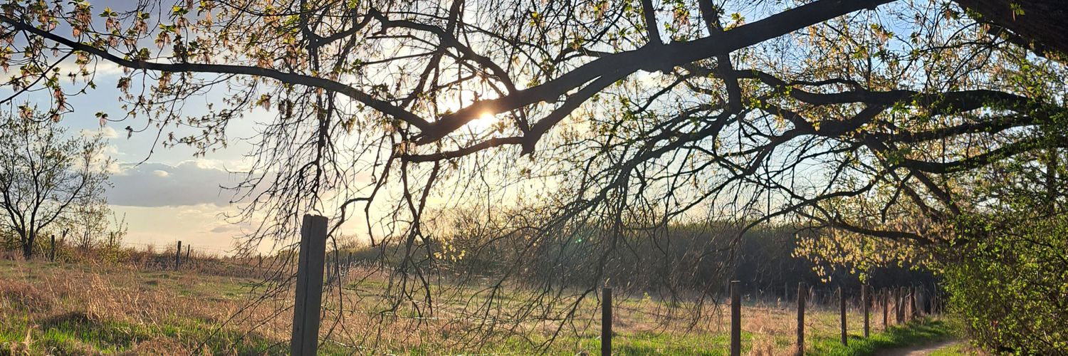 Bryce 🇨🇦 🚴 banner