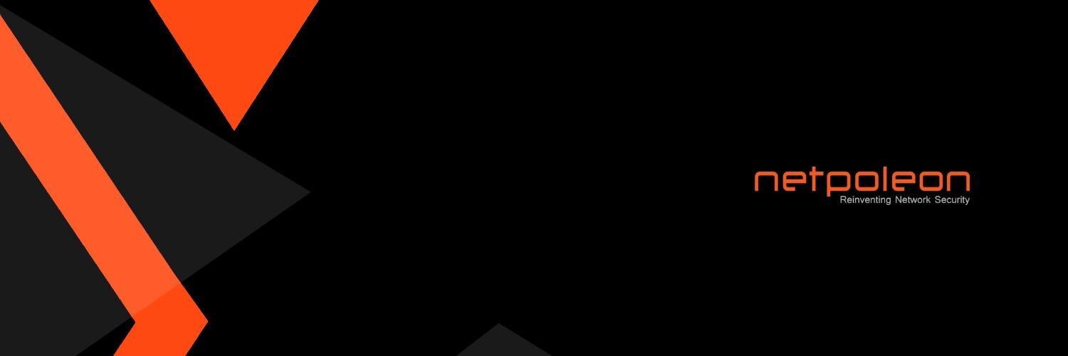 Netpoleon Solutions banner