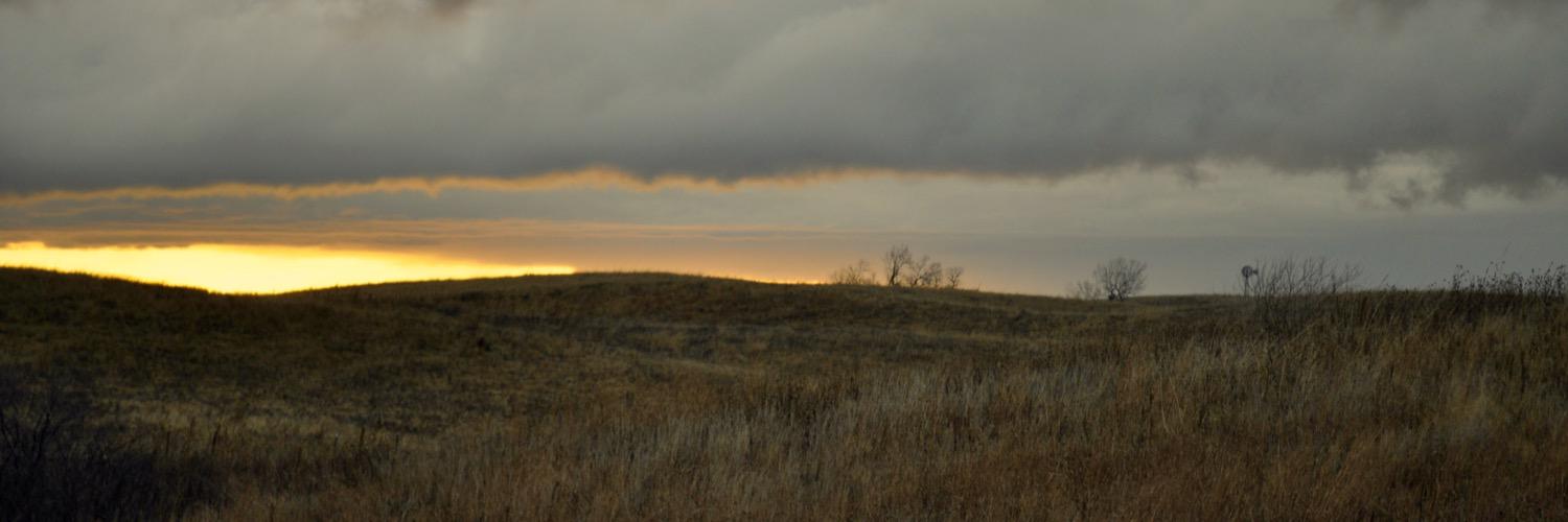 Ryan Overleese banner