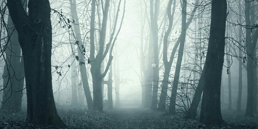 ghoul_world's profile banner image