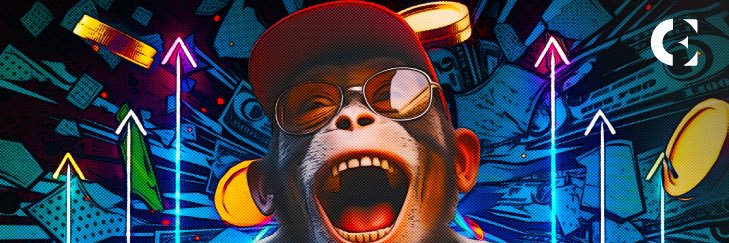 samerhadi's profile banner image