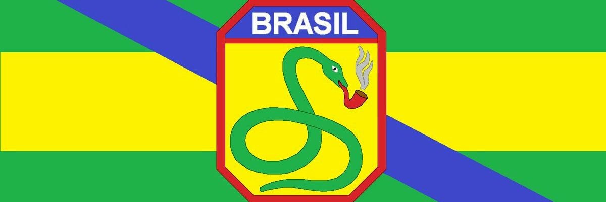 LariInRIO's profile banner image