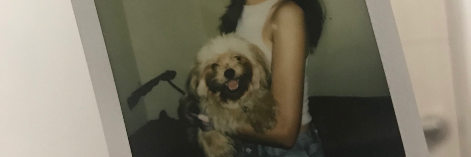 christinedyy's profile banner image