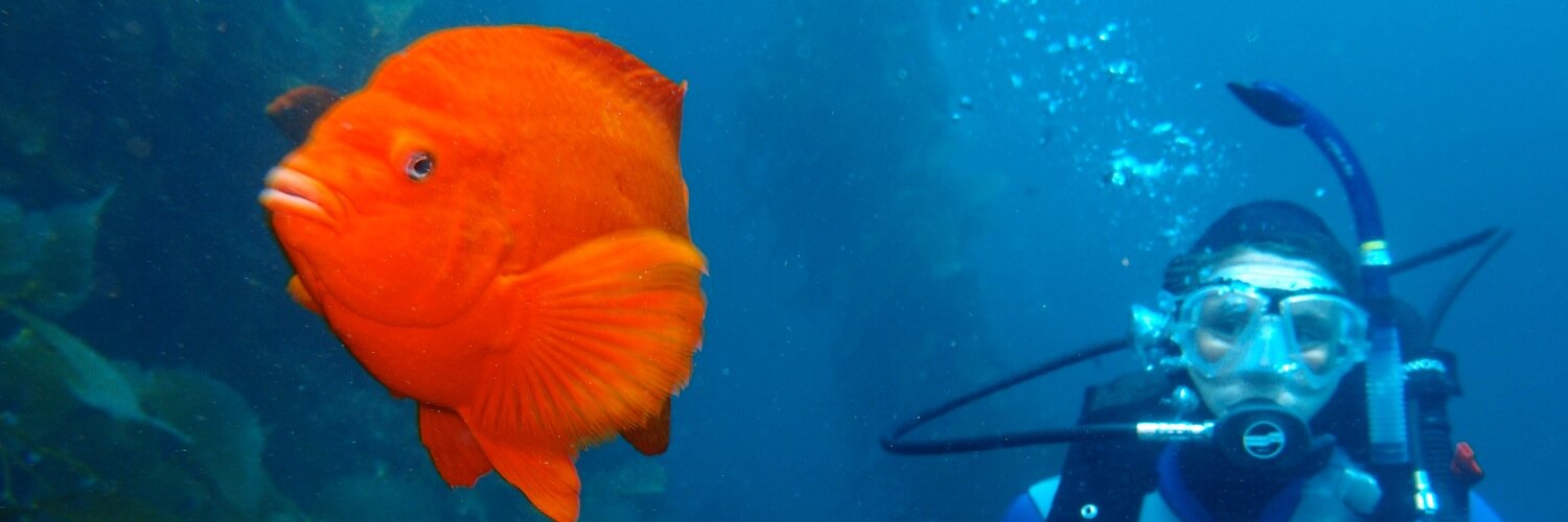 Catalina Island Marine Institute banner