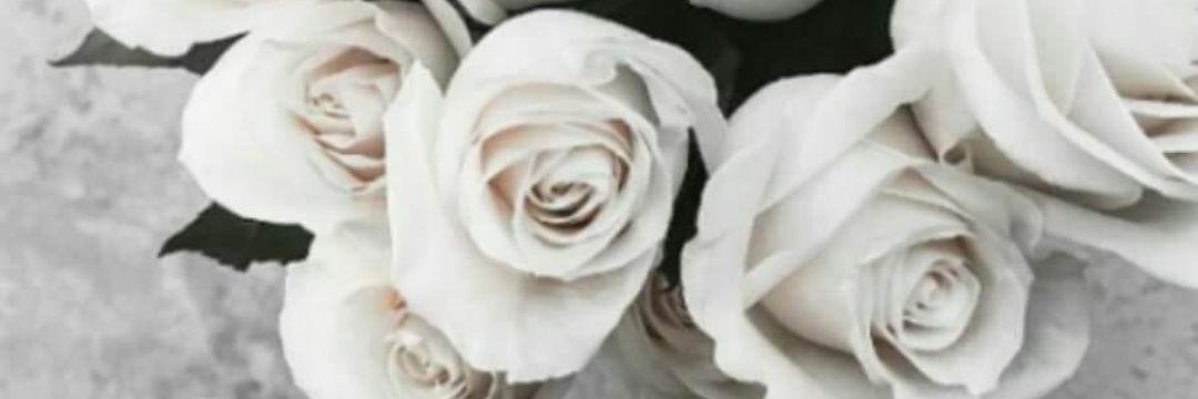 Feyza7298's profile banner image