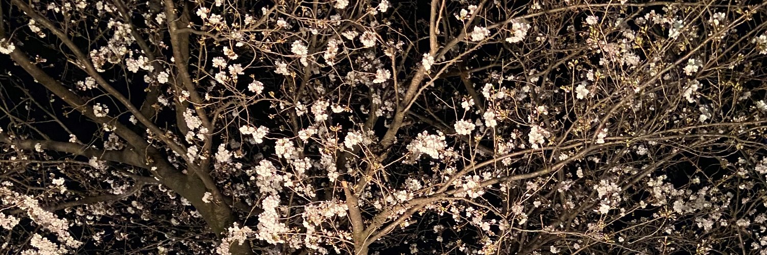 soft11211's profile banner image