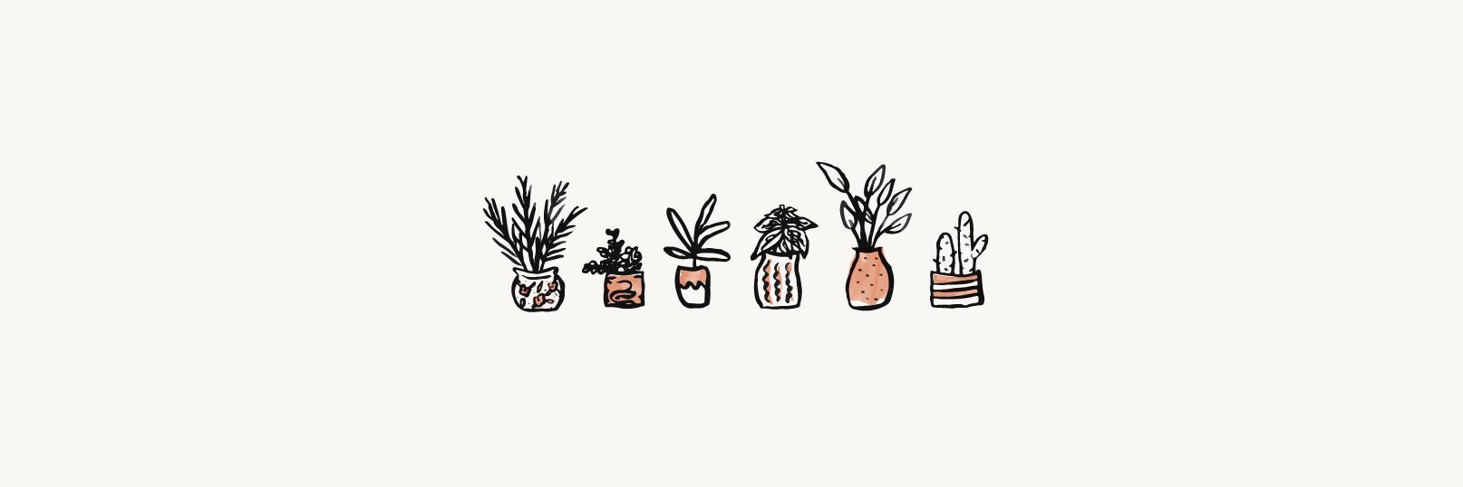 AmandaKushima's profile banner image