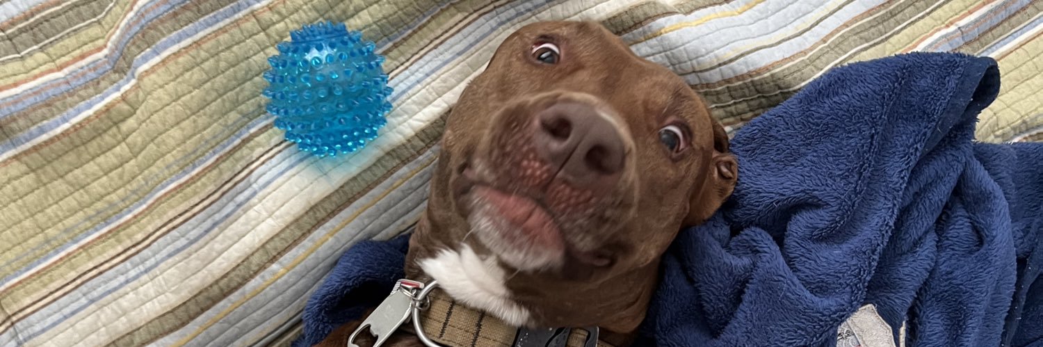 mansoncoles's profile banner image