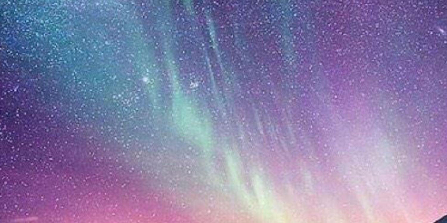 NielsenReibling's profile banner image