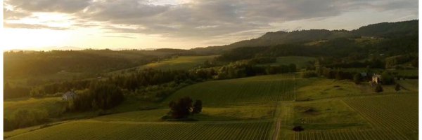 Bergstromwines Profile Banner