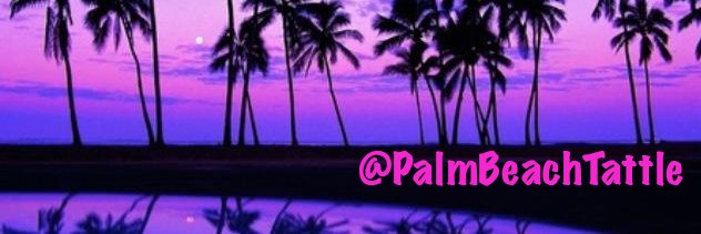 PalmBeachTattle's profile banner image