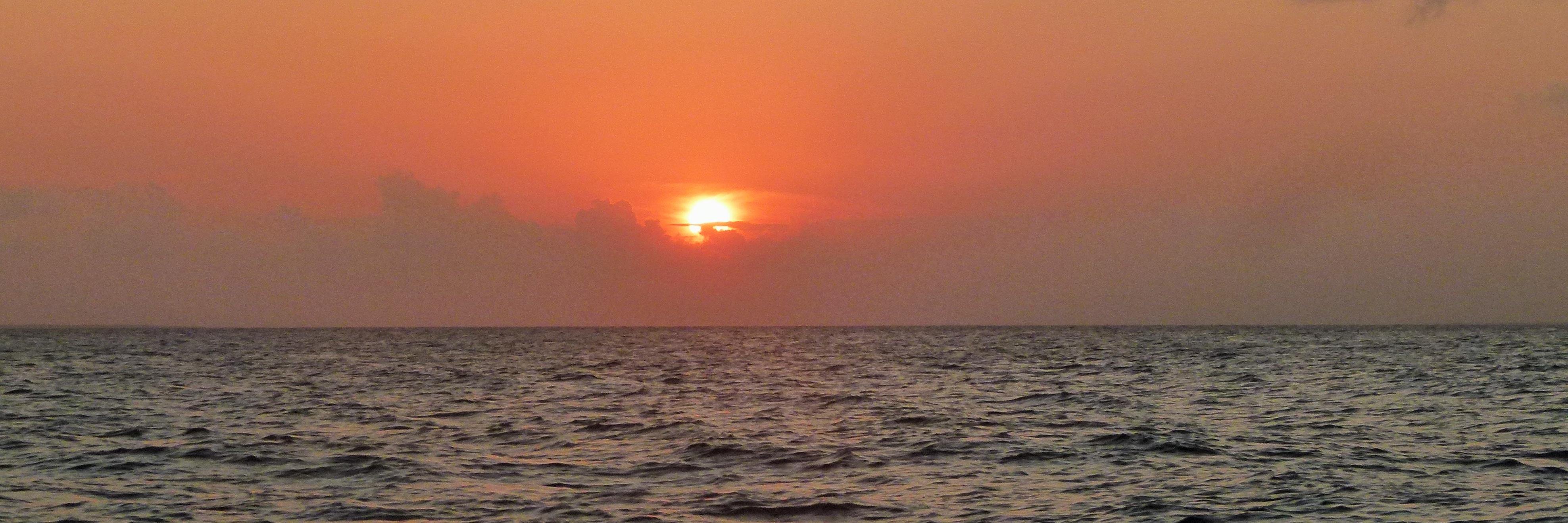 lorenapared's profile banner image