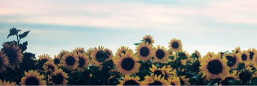 _soymeli's profile banner image