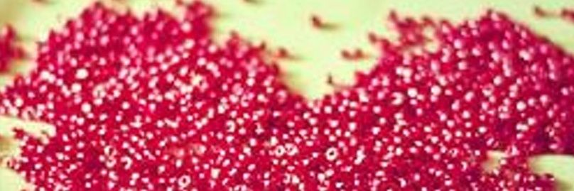 InfameJulieta's profile banner image
